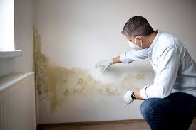 Best Mold Damage Restoration  in Orange, CA